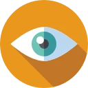 Our Vision
